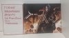 SONS OF CHAOS HC [9781684054794]